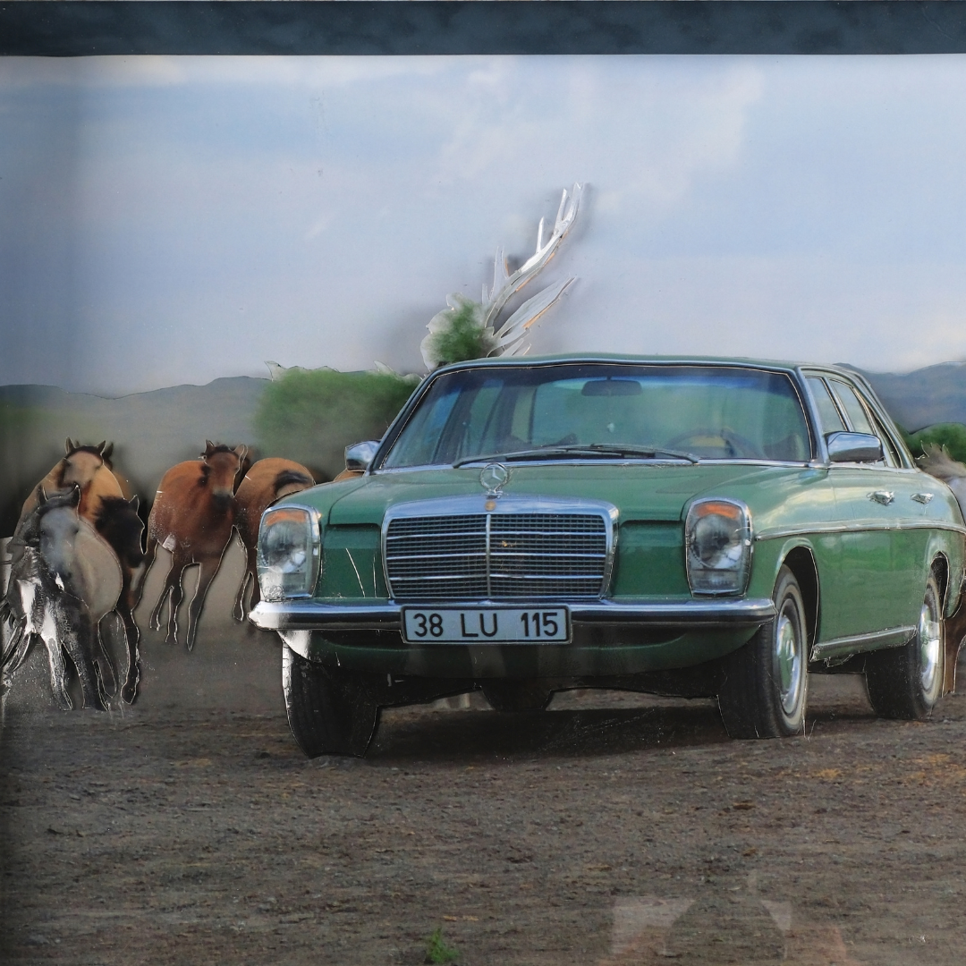 3D Steel Horses Mercedes W115 Relief Canvas